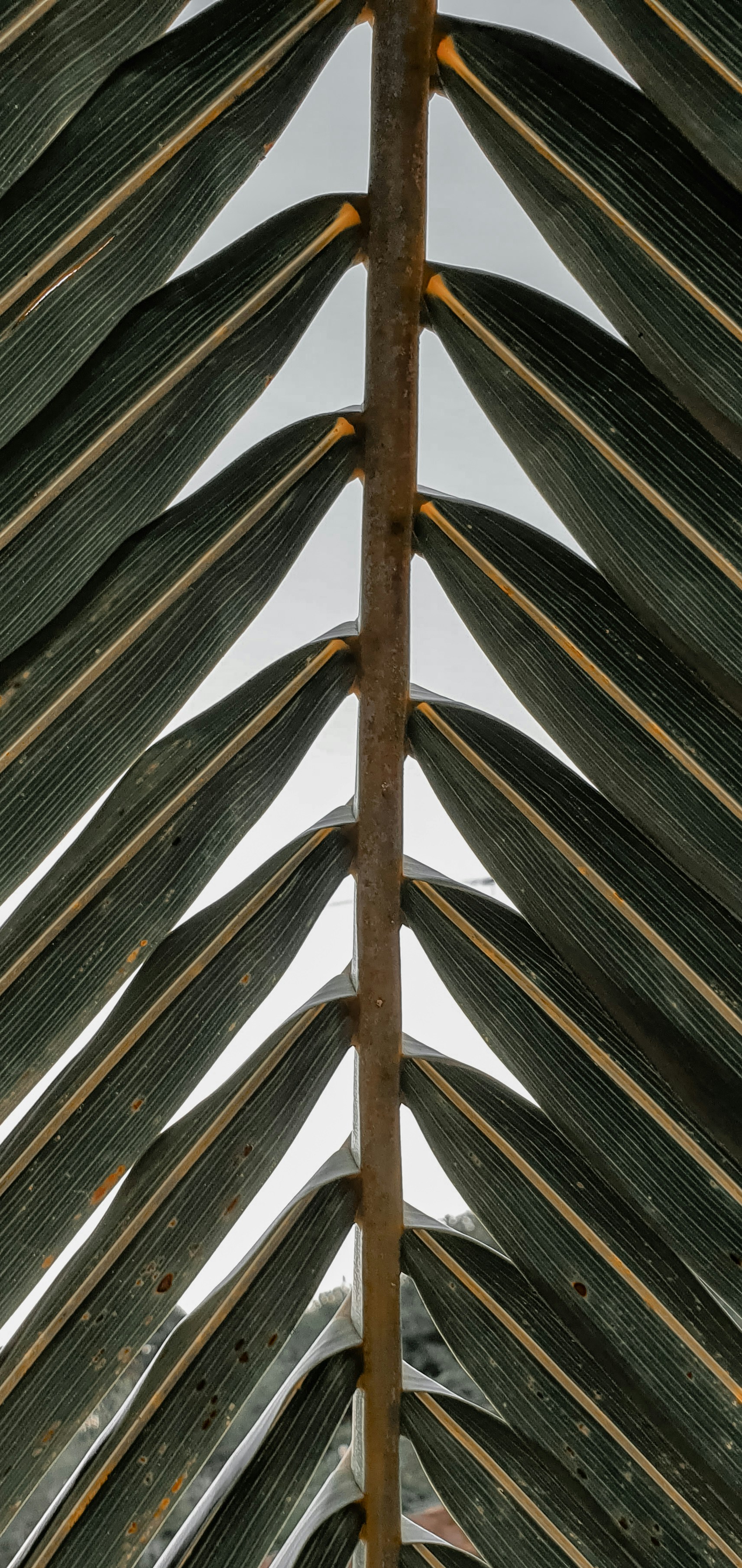 Photo by ekaterinanto