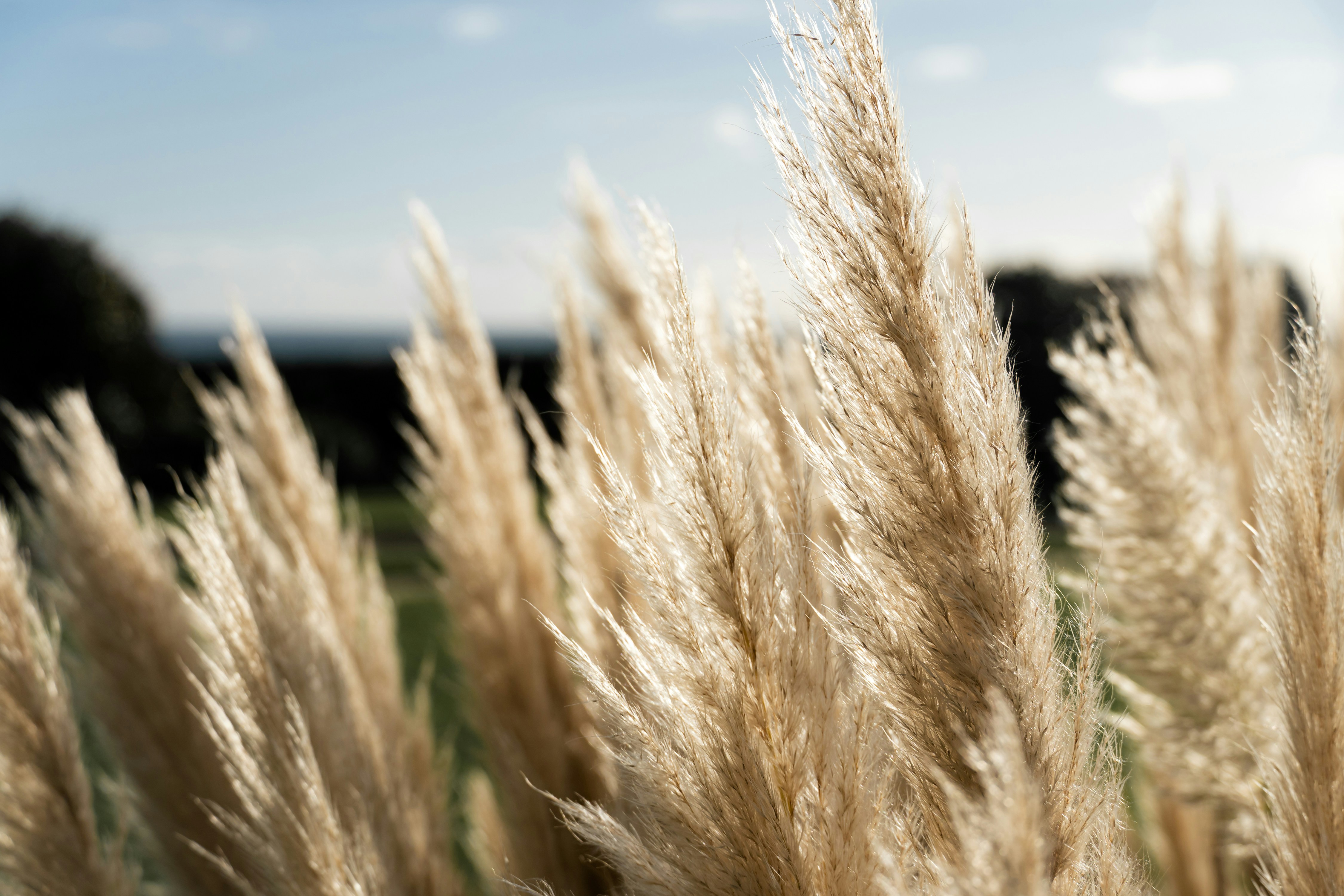 Photo by sarahdoffman