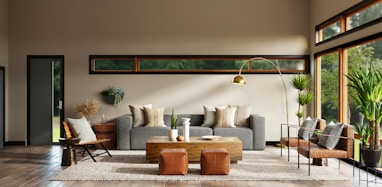 Charlotte NC interior designer living room