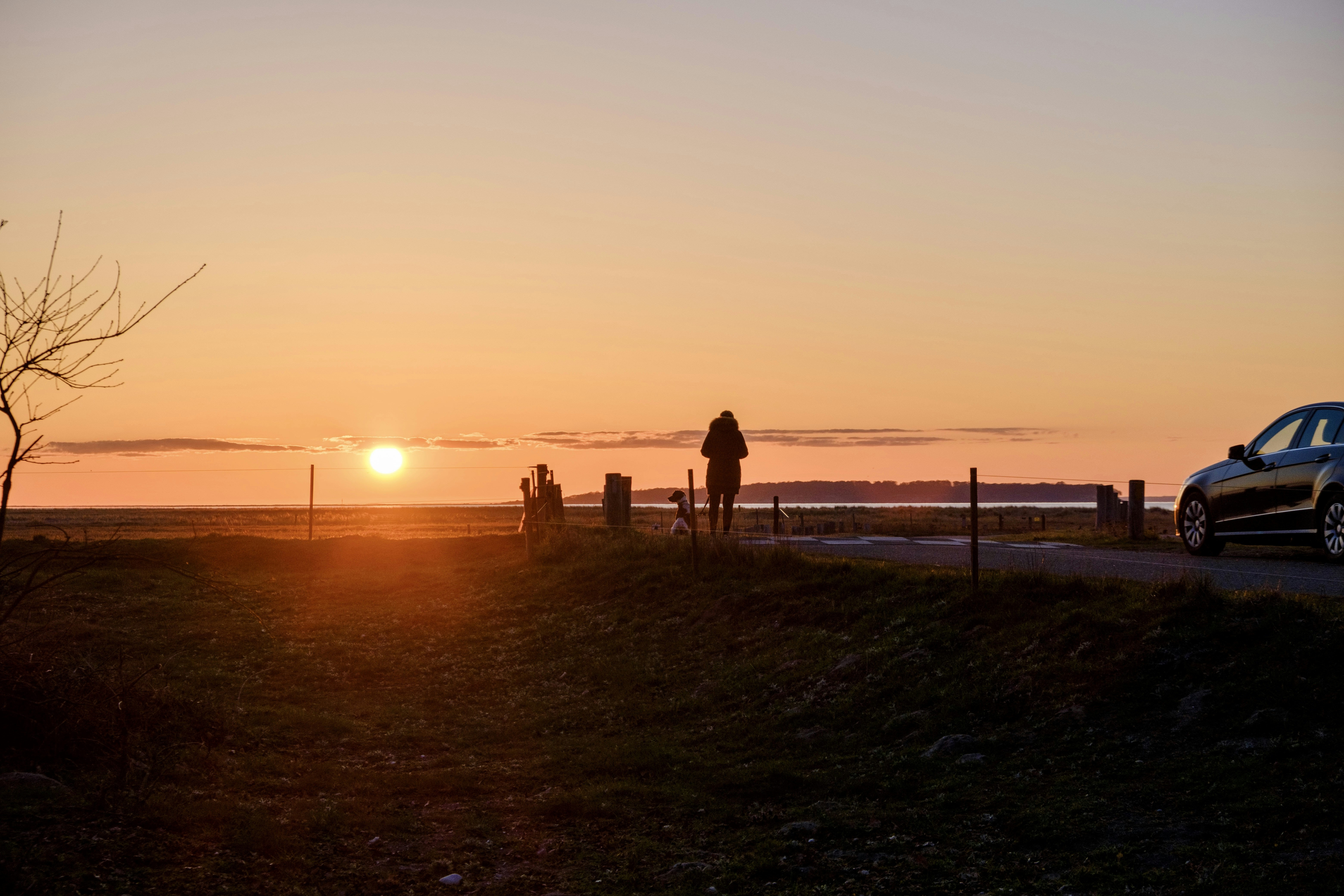silhouette of 2 person standing on beach during sunset