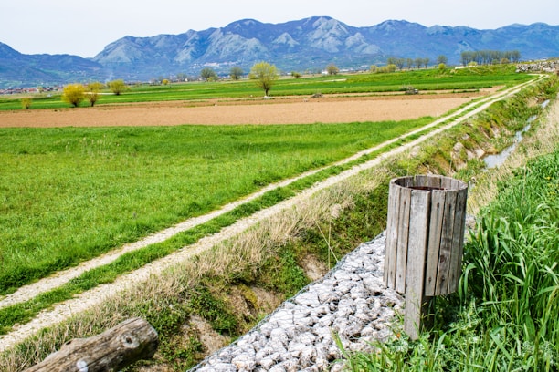 A clean rural driveway with a trash bin ready for pickup beside a green field.