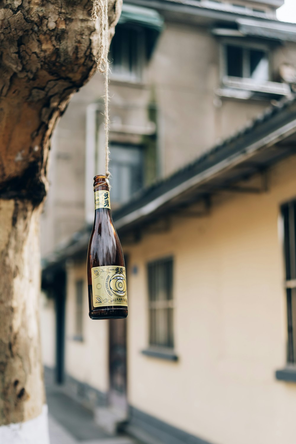 brown glass bottle on brown wooden tree trunk