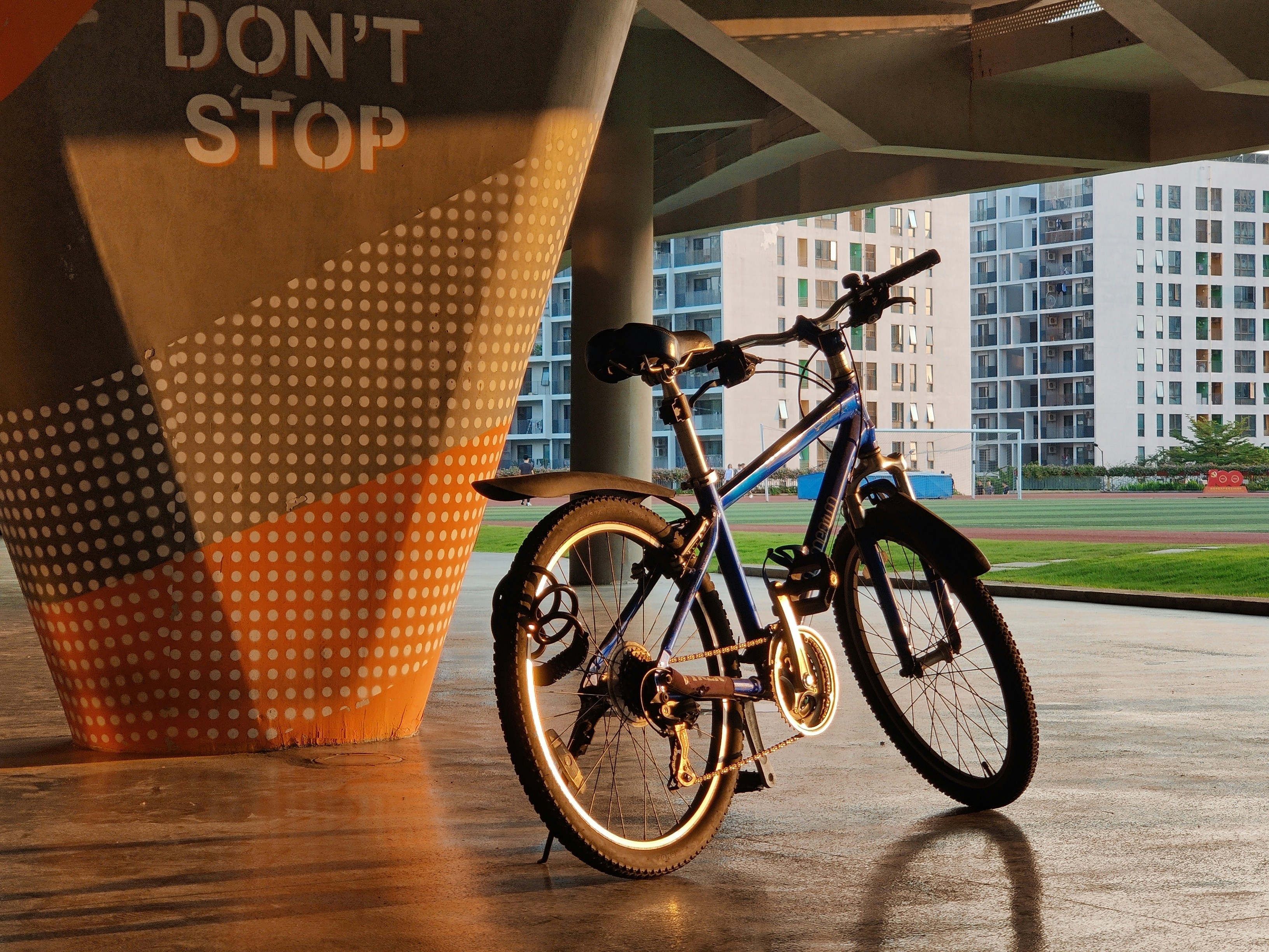 KEEFEKTIFAN TALI SEBAGAI JEMBATAN BAGI SEMUT  DARI PEMATANG KE DALAM PERTANAMAN PADI Image