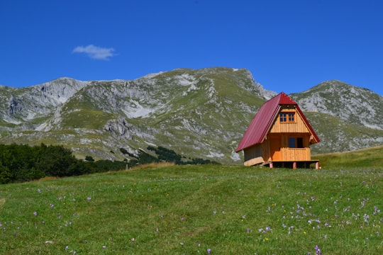 brown wooden house on green grass field near mountain under blue sky during daytime in Durmitor Montenegro