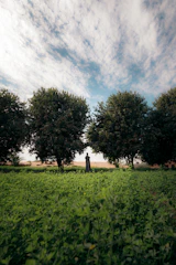 A serene natural landscape symbolizing the creation of man from the earth and breath of life.