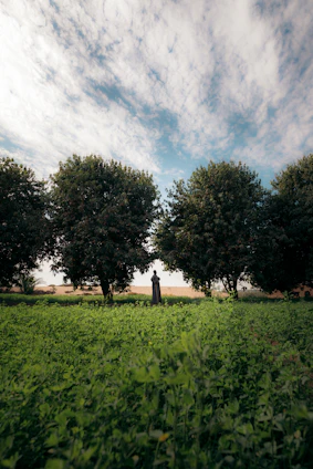 A serene natural landscape symbolizing the creation of man from the earth and breath of life.