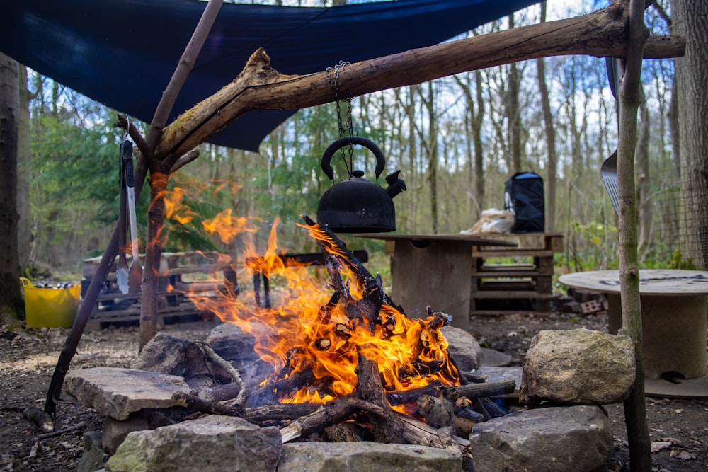 Black kettle on fire during daytime photo – Free York Image on