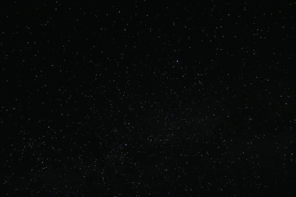 Estrellas blancas y negras durante la noche