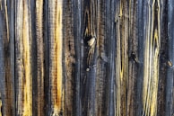 A before-and-after comparison of wood treated with tar.