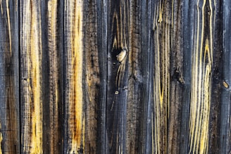 A before-and-after comparison of wood treated with tar.