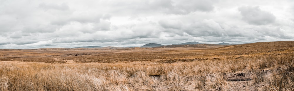 brown grass field near mountains under white clouds during daytime