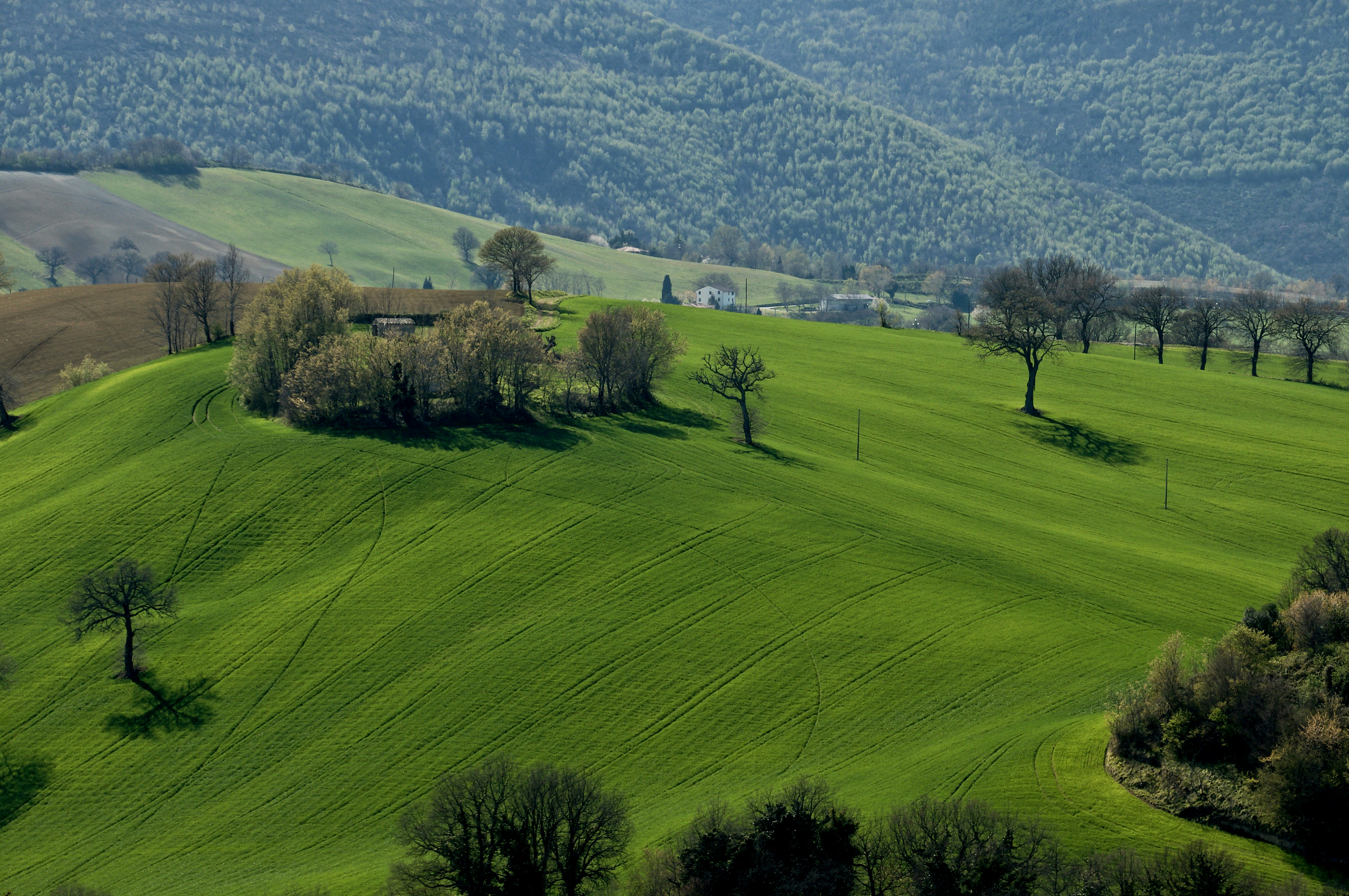 Photo by mariobeducci