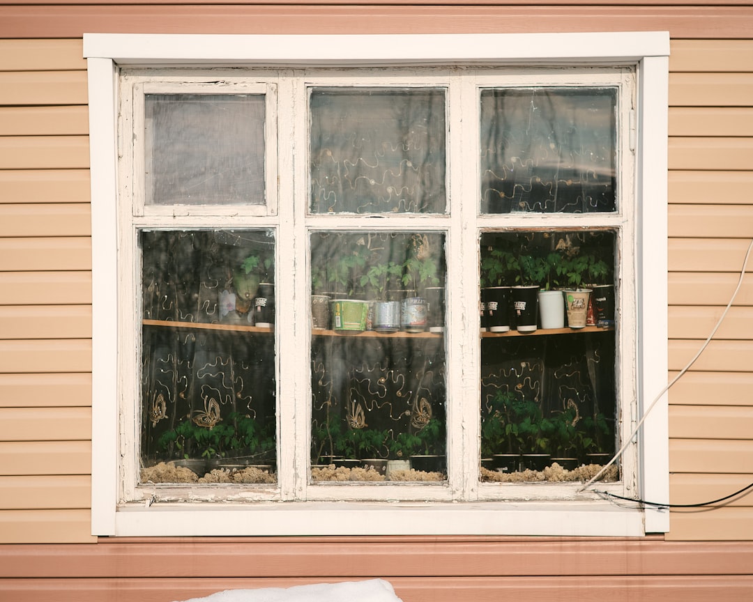 white wooden framed glass window