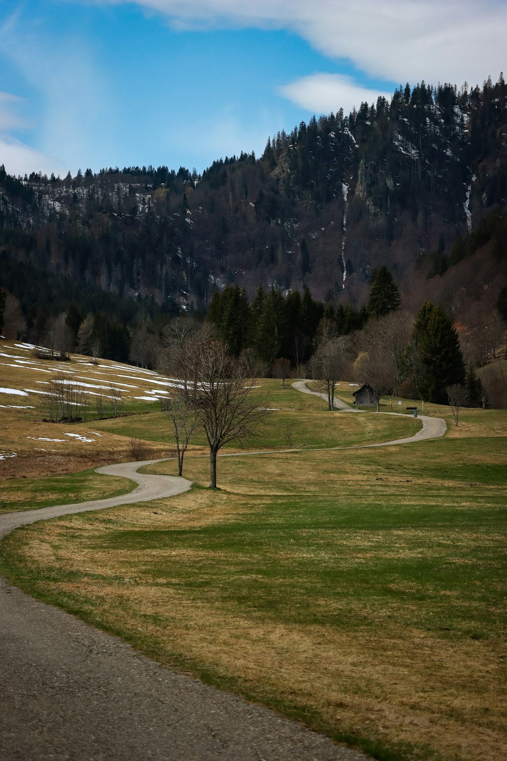 green grass field near trees and mountain during daytime