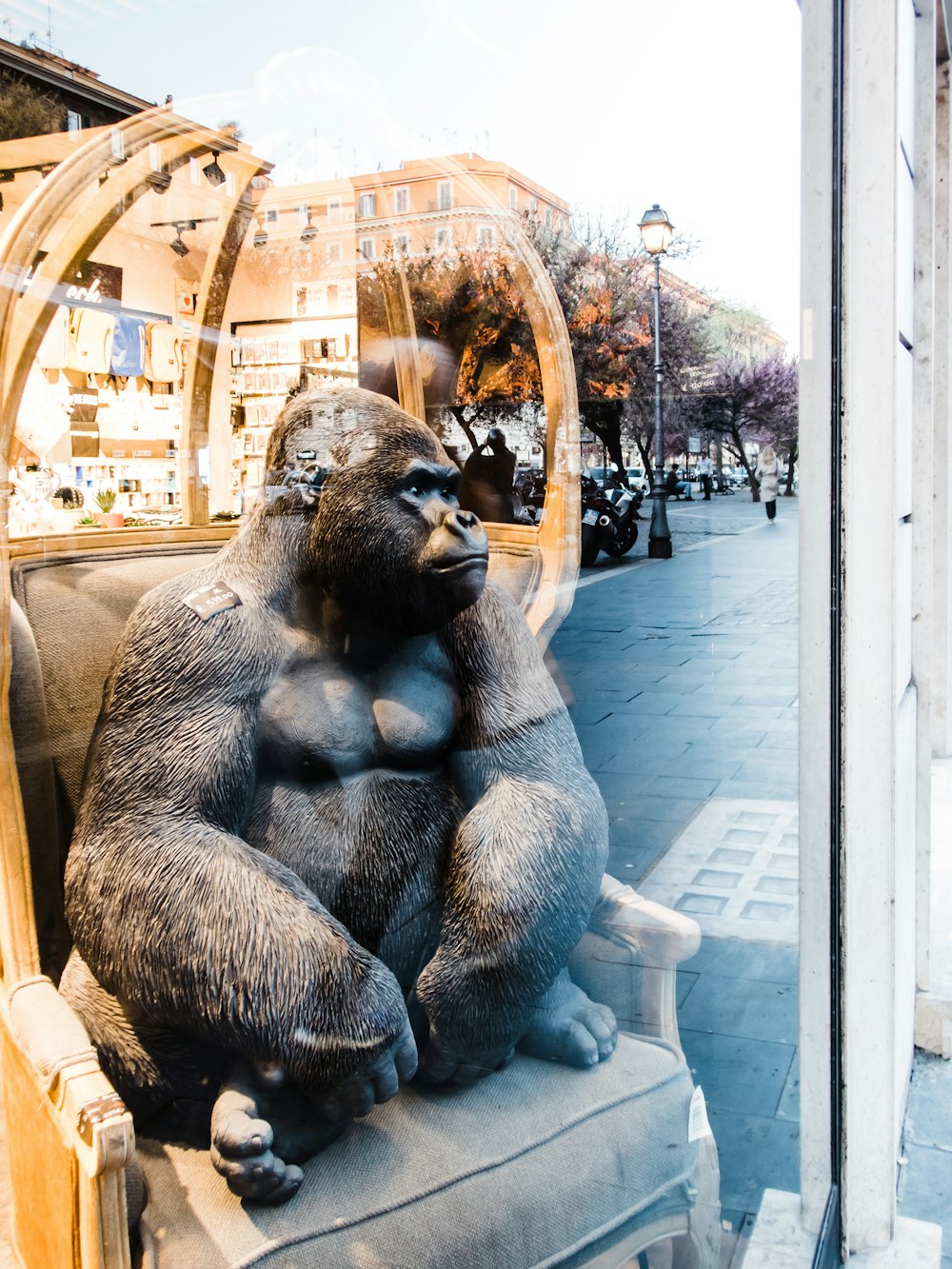 gorilla sitting on brown wooden chair