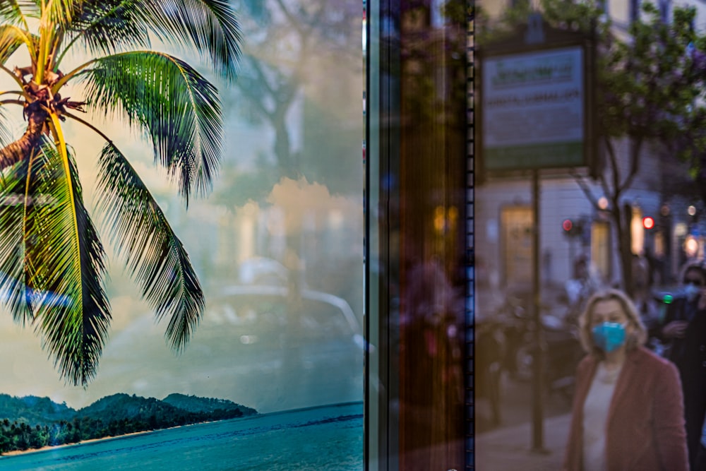 palm tree near body of water during daytime