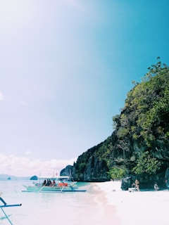 people on beach during daytime