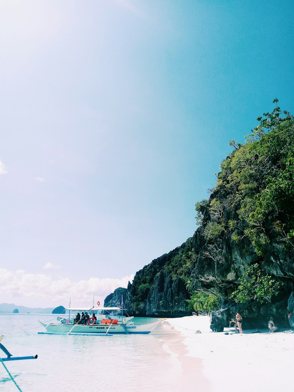 people on beach during daytime