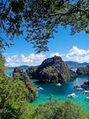 green trees near body of water under blue sky during daytime