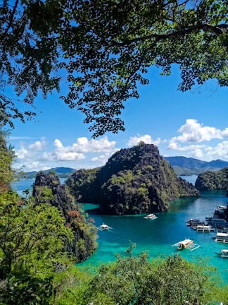 green trees near body of water under blue sky during daytime
