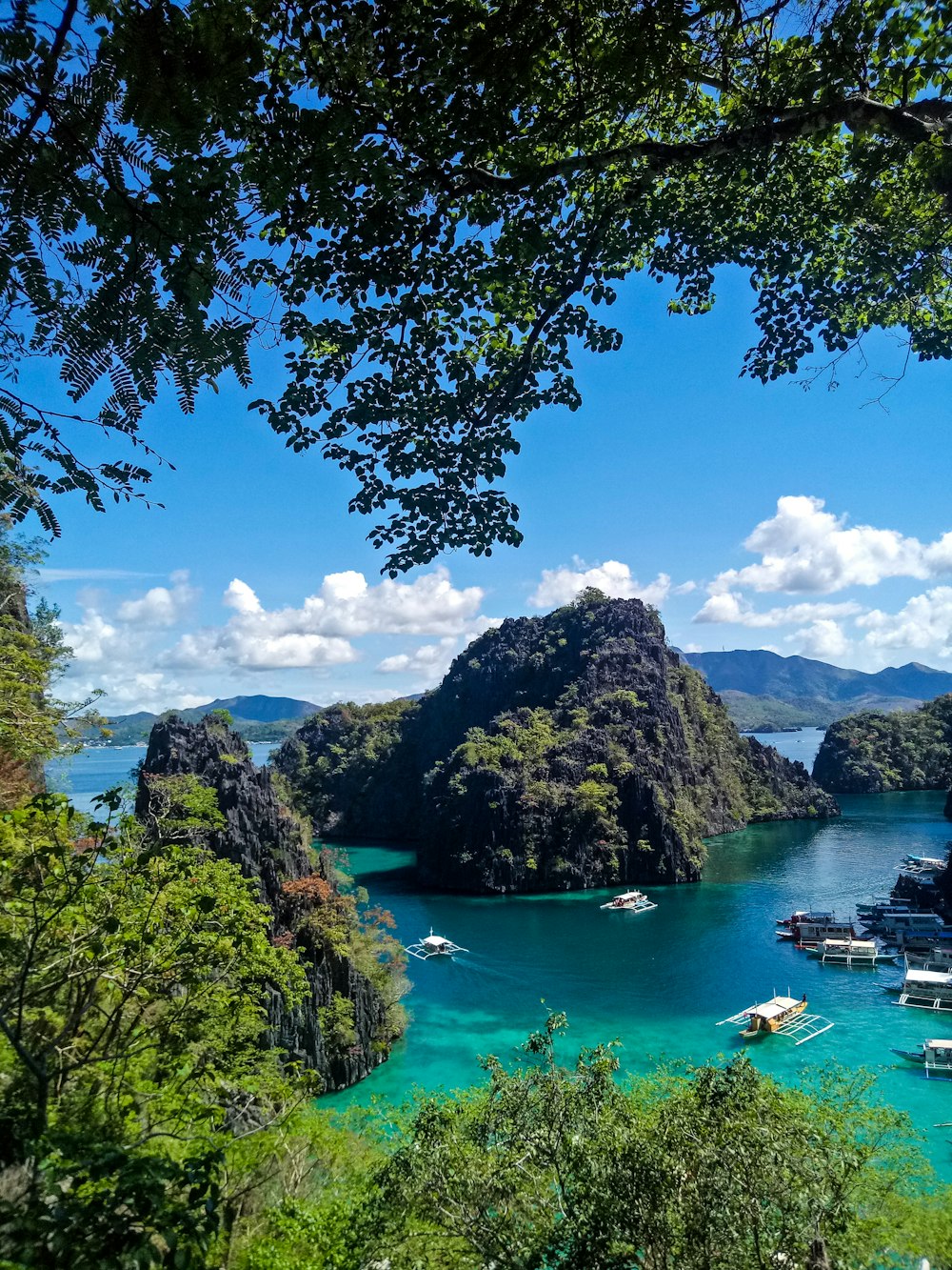 green trees near body of water under blue sky during daytime