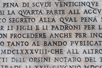 An aged stone surface with inscribed text in uppercase letters. The language appears to be Italian or Latin, with an ancient or classical style. The text is clearly visible and etched into the stone.