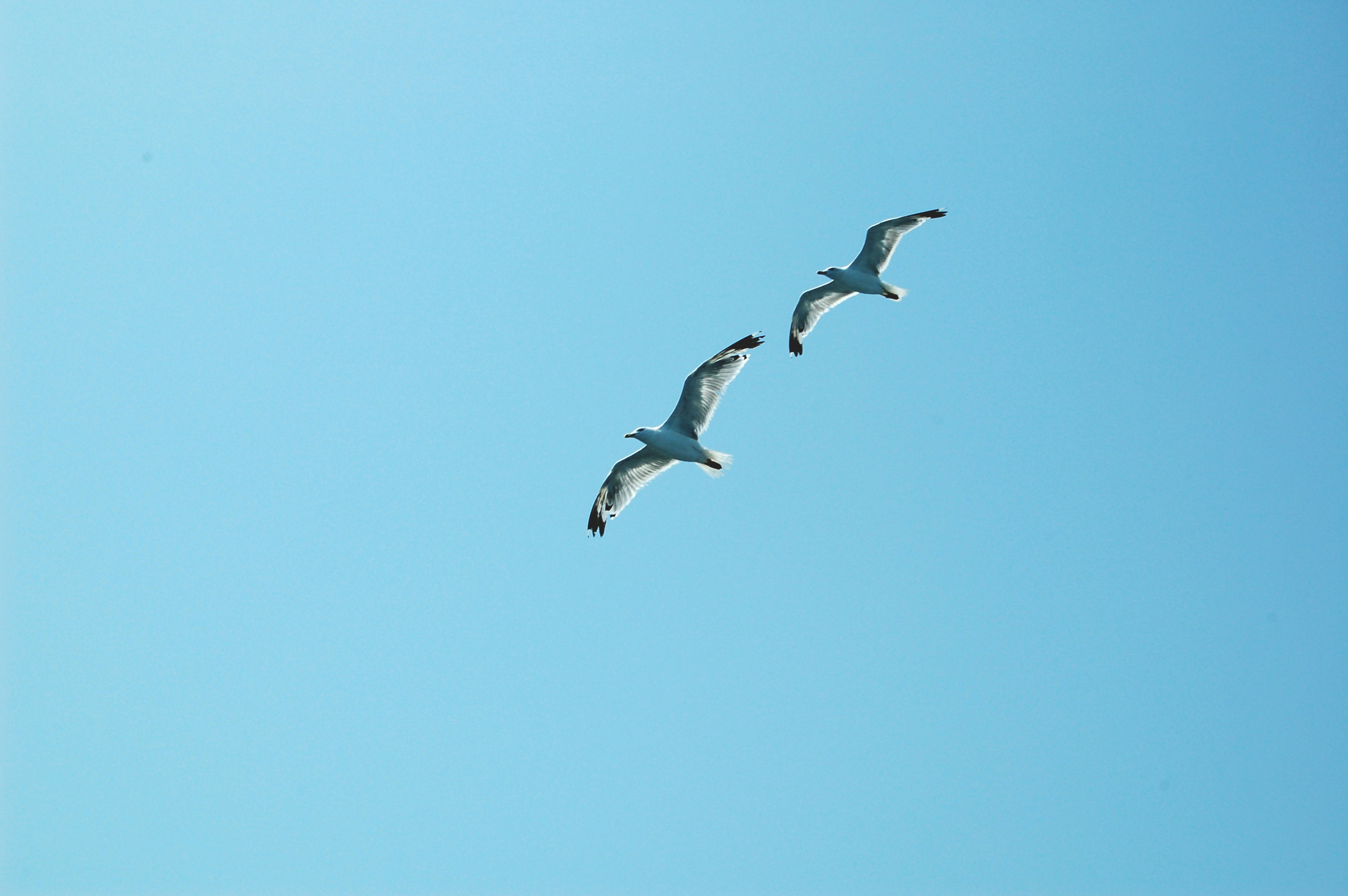 Photo by themysticegg