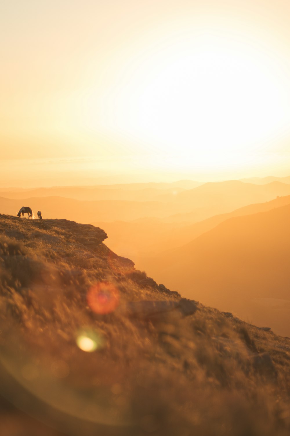 silhouette of 2 people standing on rock formation during sunset