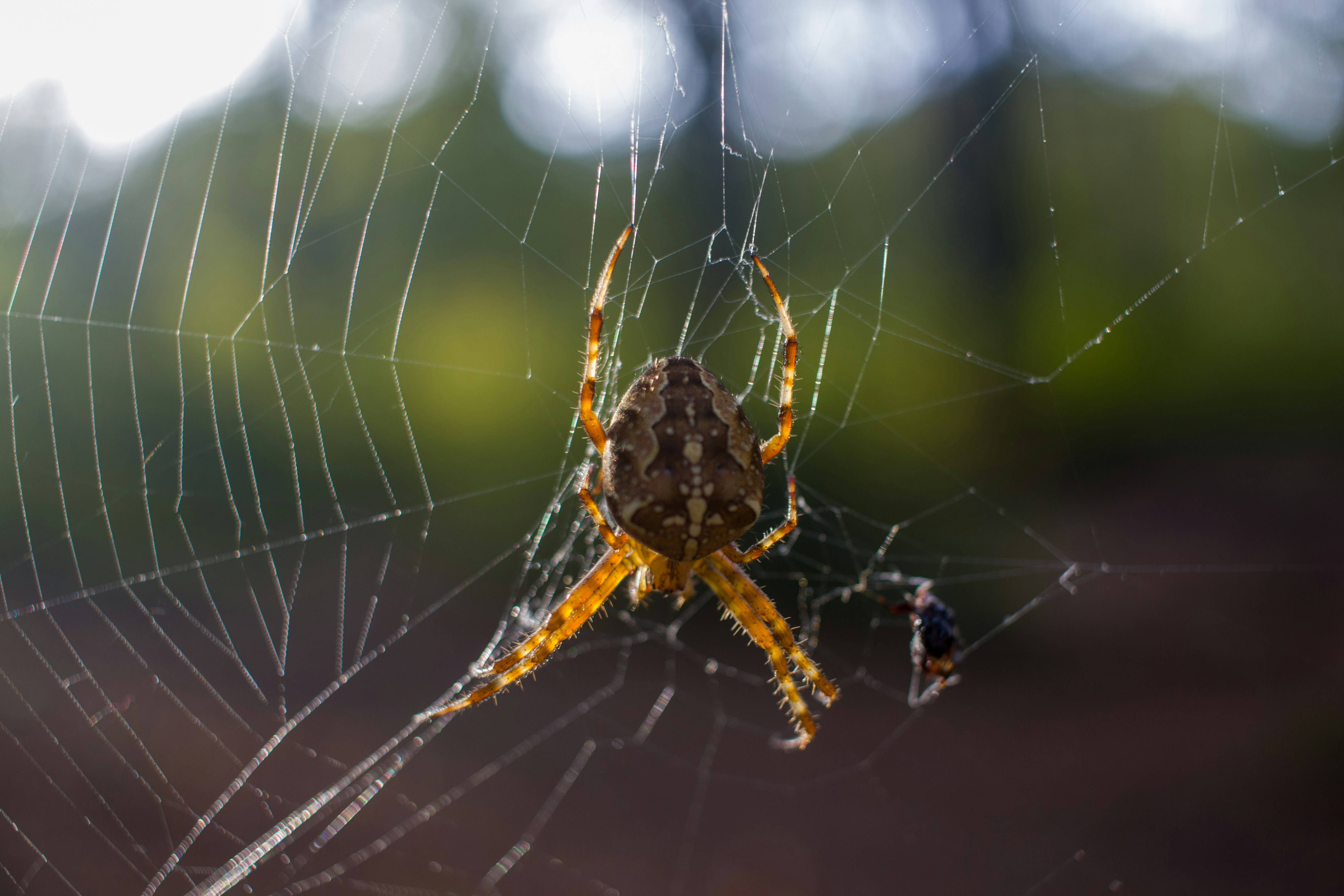 Photo by uin84917798