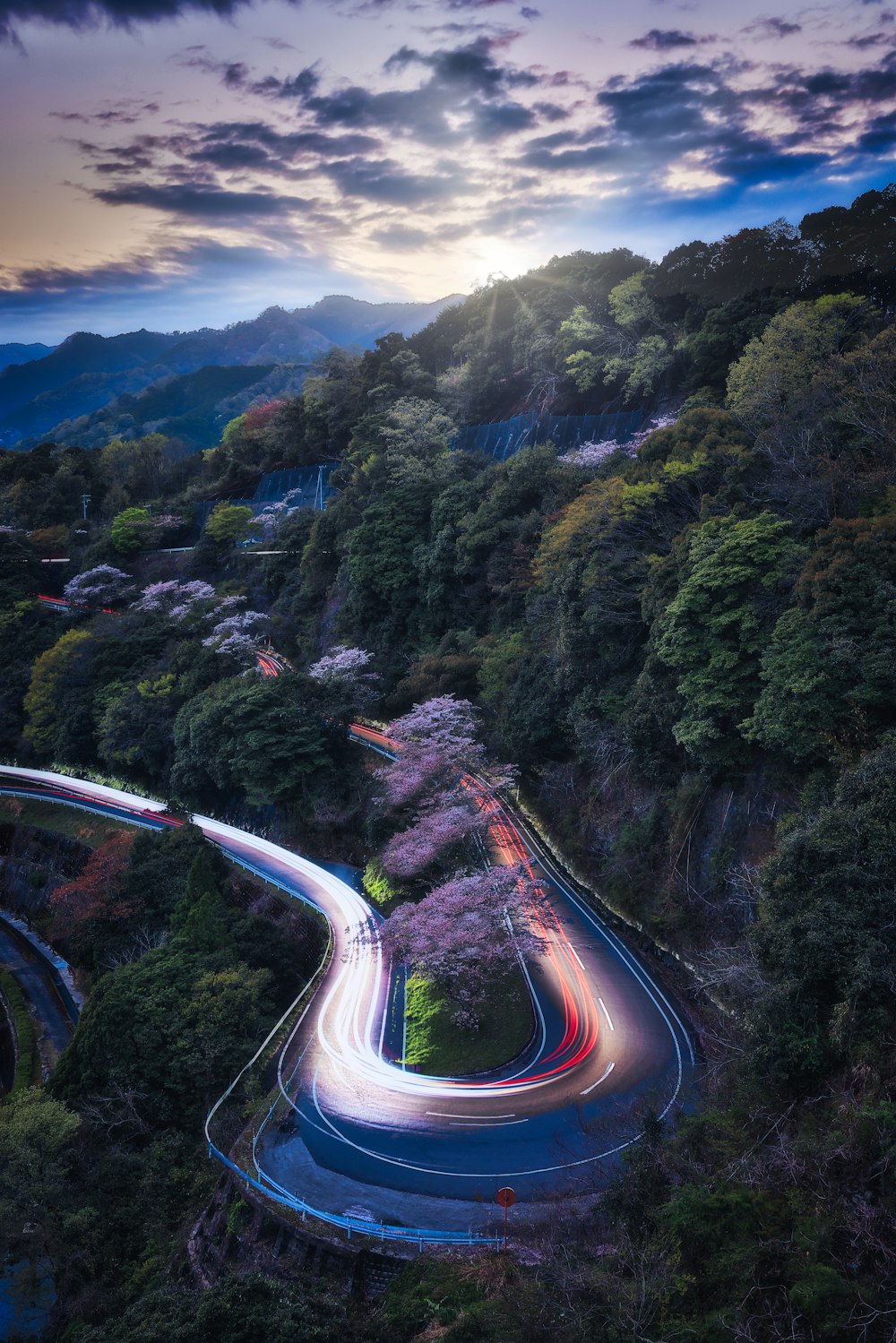 aerial view of road between green trees during daytime