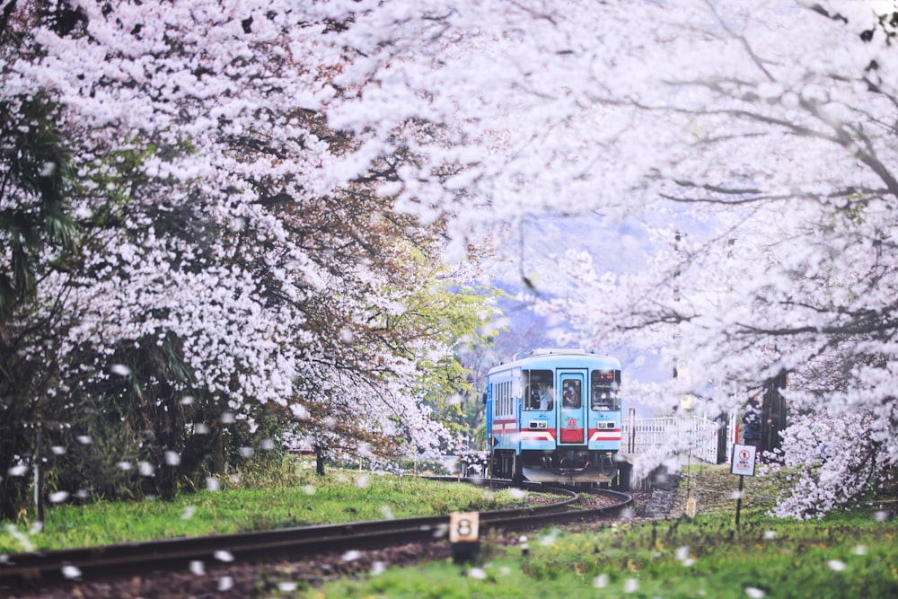 blue and white train on rail tracks near trees during daytime