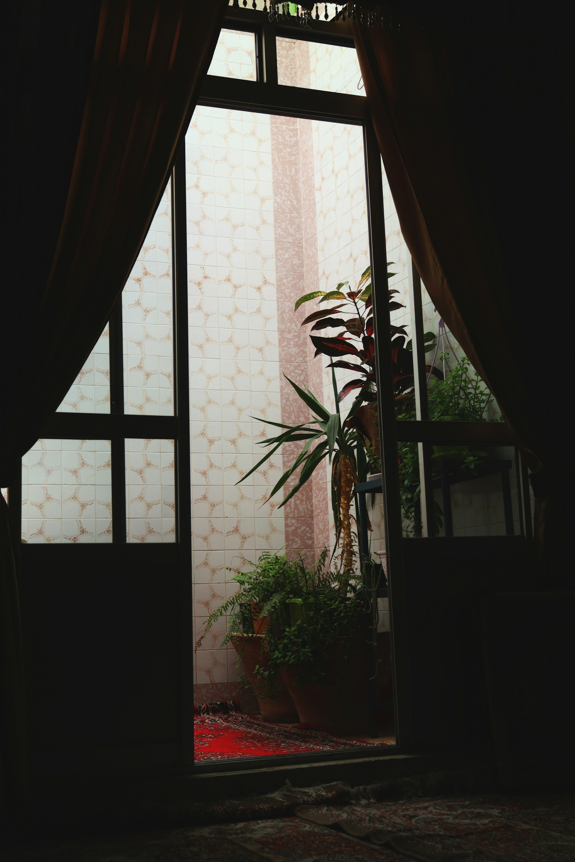 green plant near white window
