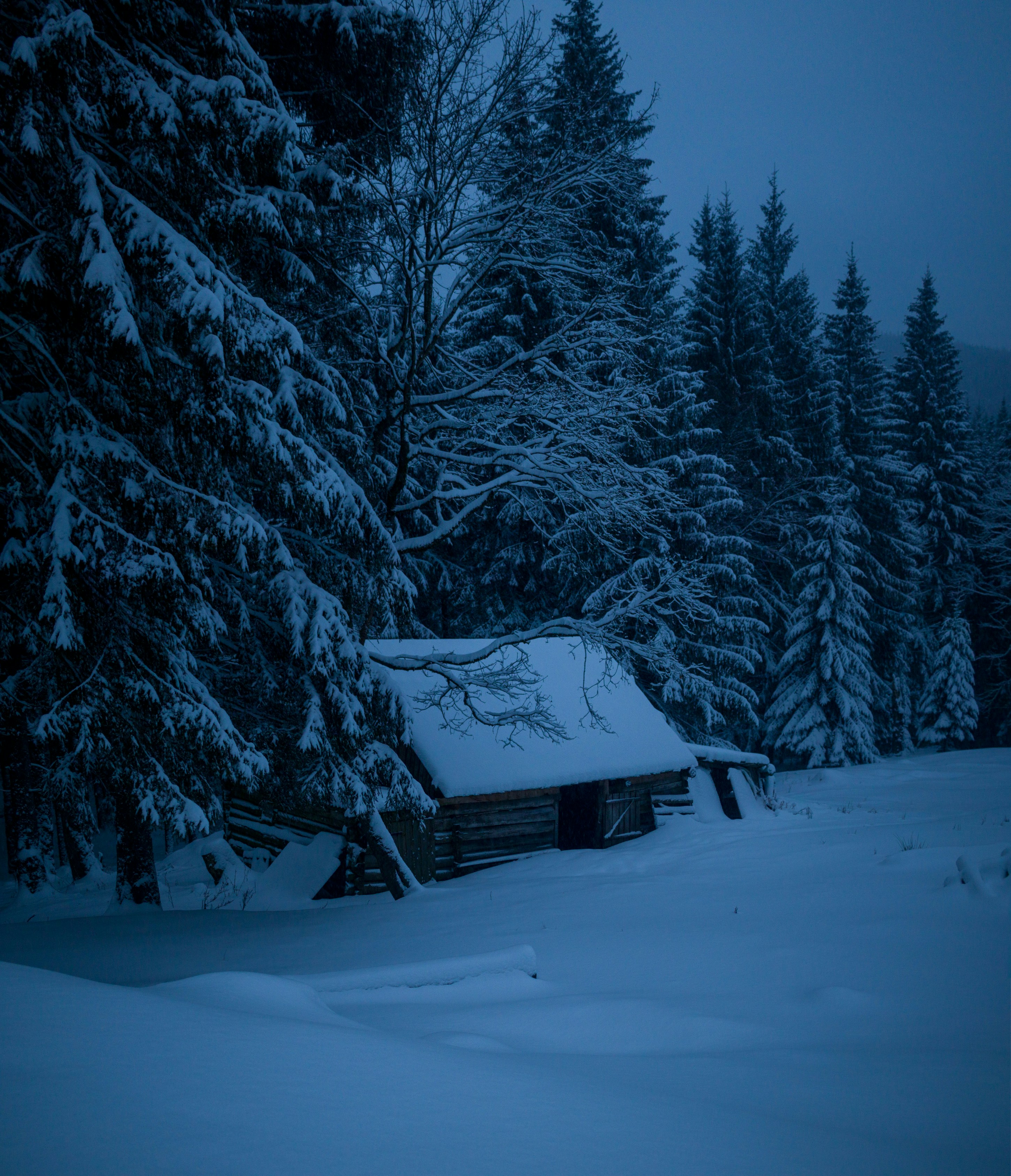 Photo by uin84917798