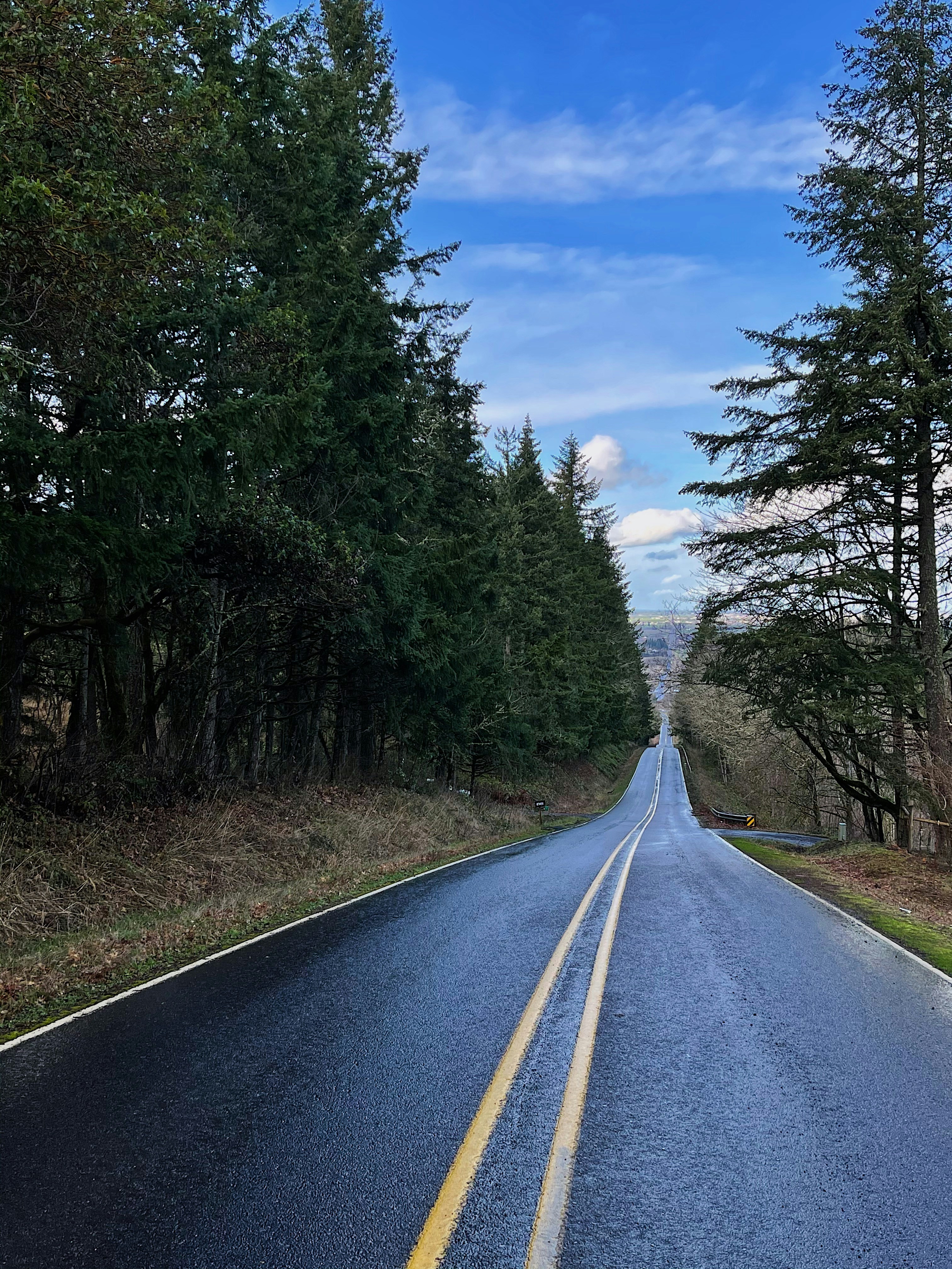 gray asphalt road between green trees under blue sky during daytime