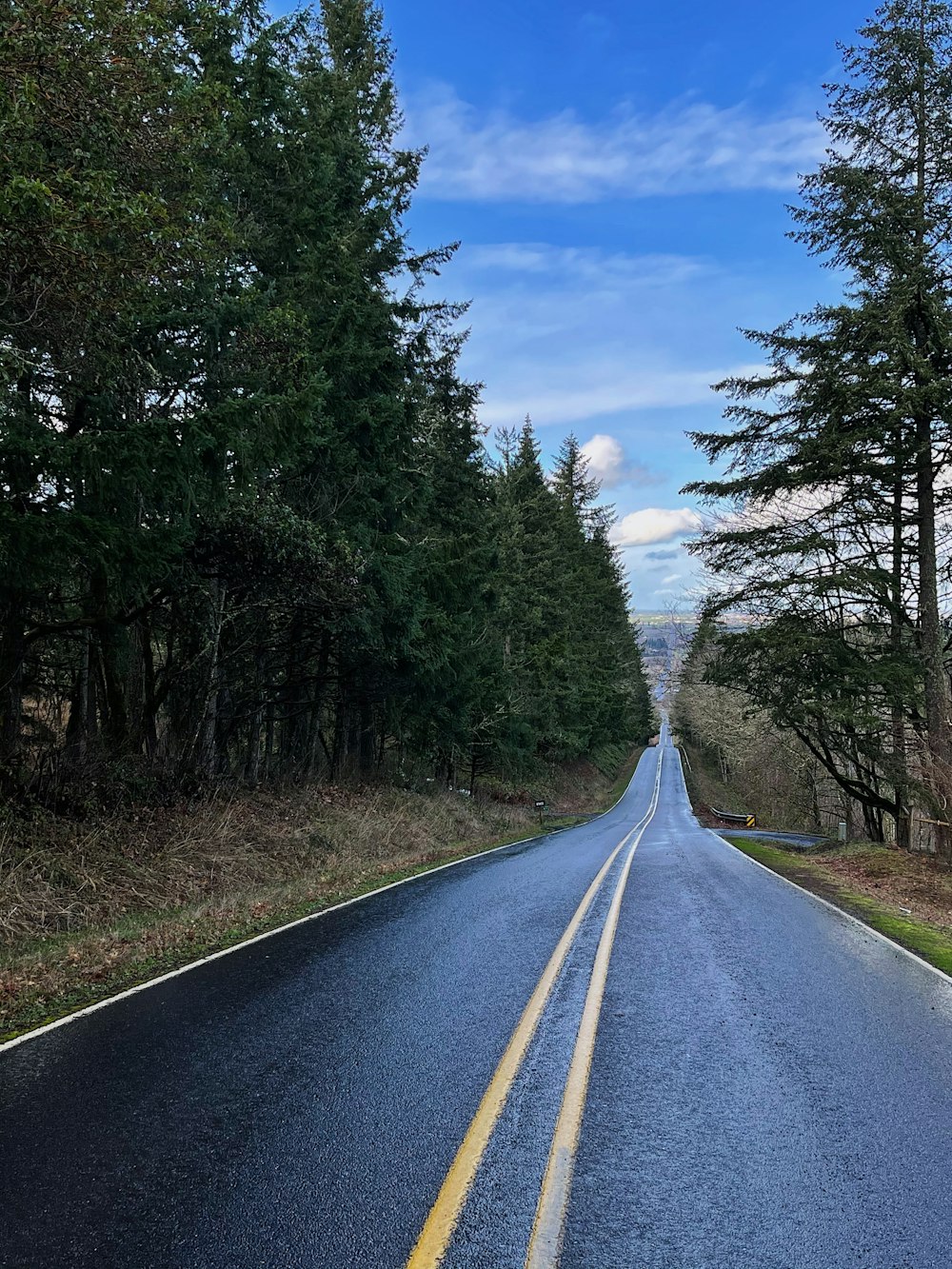 graue Asphaltstraße zwischen grünen Bäumen unter blauem Himmel tagsüber