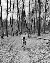 A cyclist riding a gravel bike through a sunlit forest trail covered with autumn leaves.