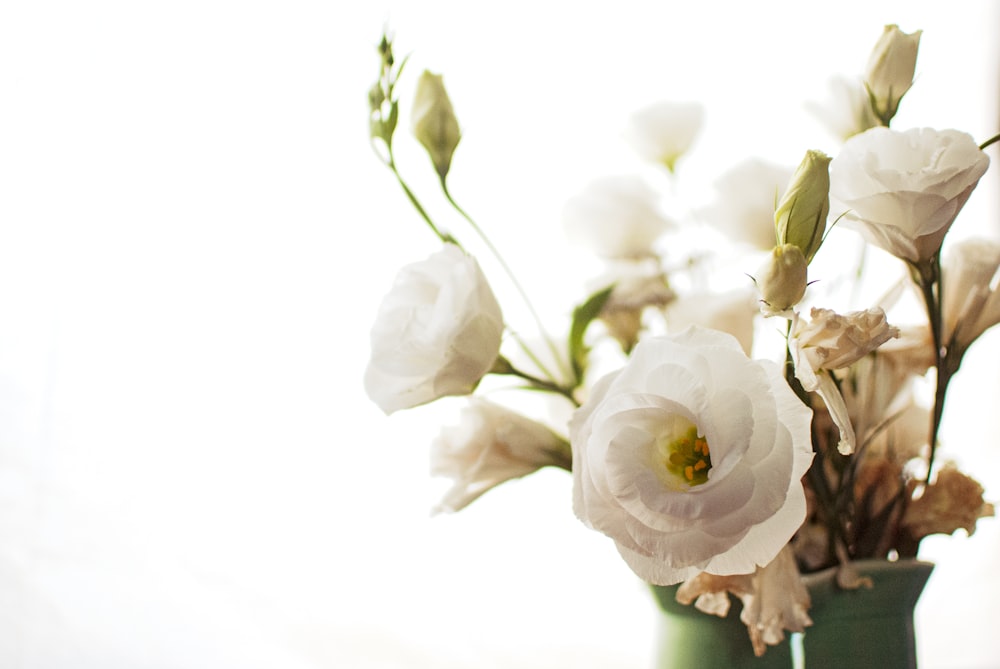 white and pink roses bouquet