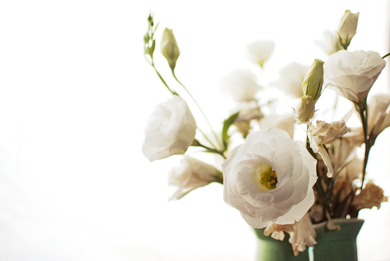 Bouquet de roses blanches