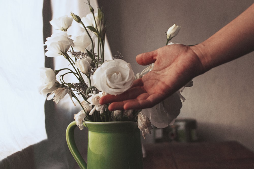 person holding white and red flower