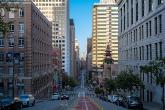 cars on road between high rise buildings during daytime