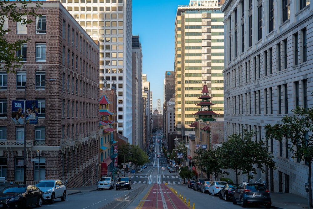 cars on road between high rise buildings during daytime