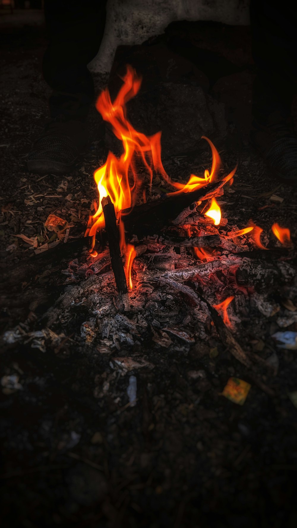 갈색 토양에 불타는 불