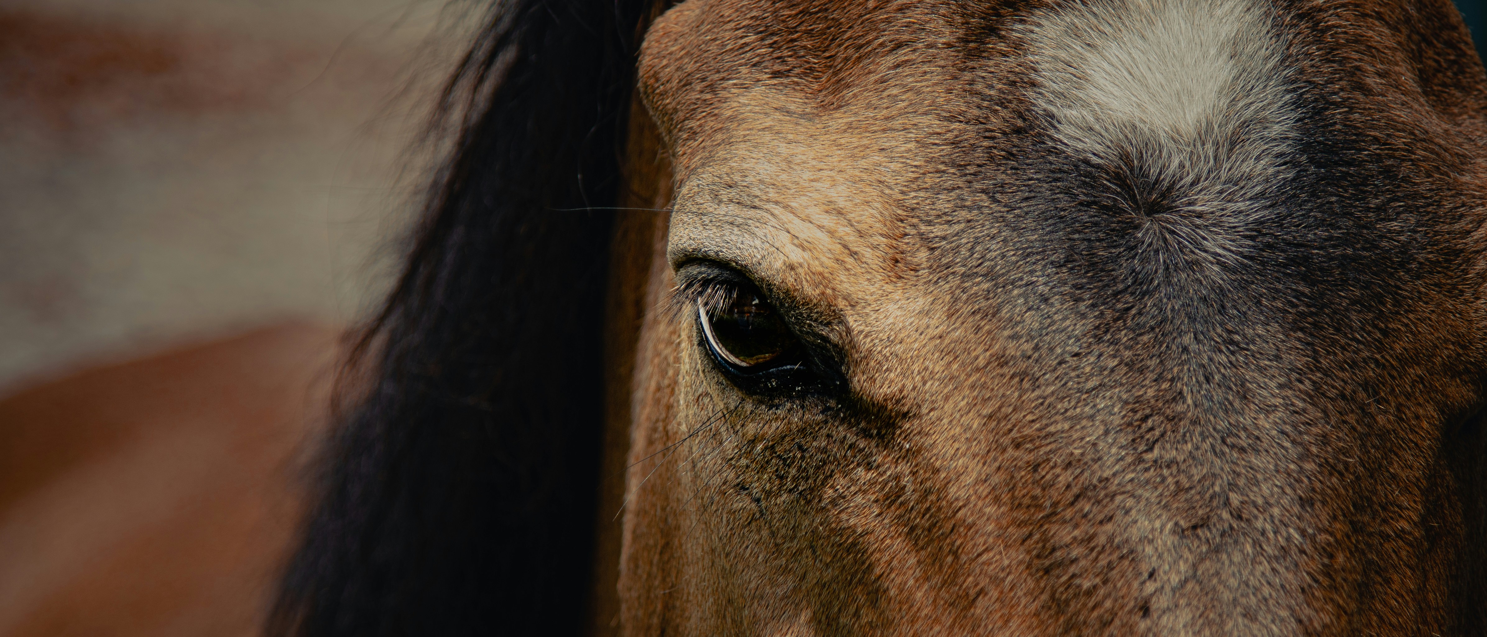 Photo by thericebucket