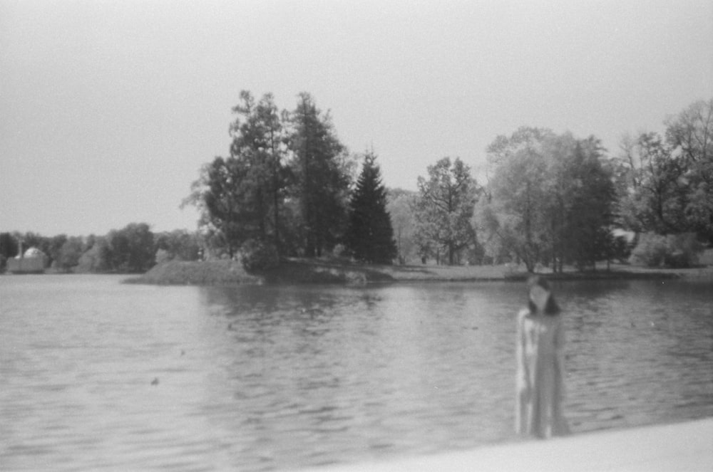 grayscale photo of person standing on dock near body of water