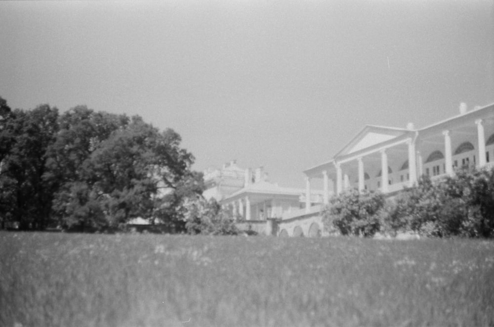 grayscale photo of house surrounded by trees