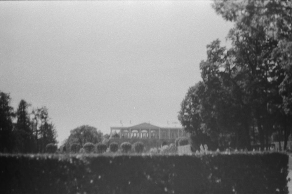 grayscale photo of trees and building