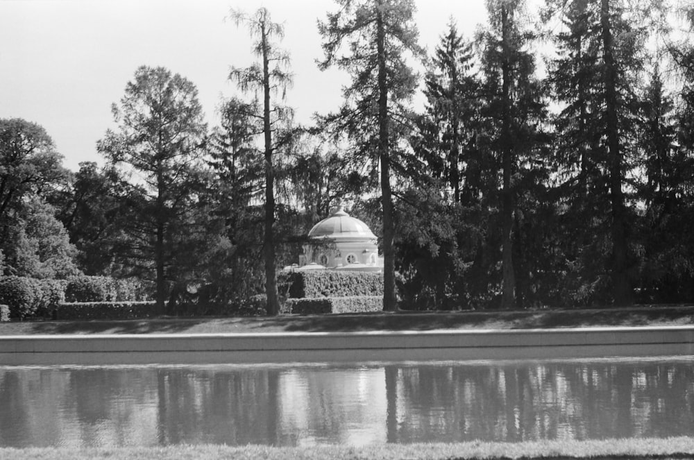 grayscale photo of dome building near trees