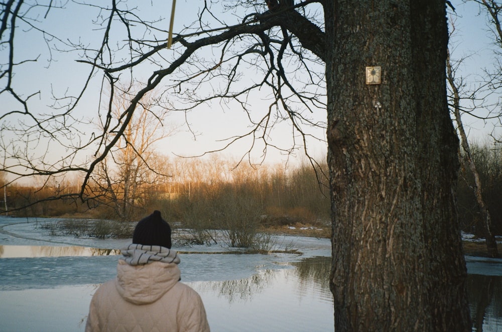 person in gray hoodie standing beside tree near lake during daytime