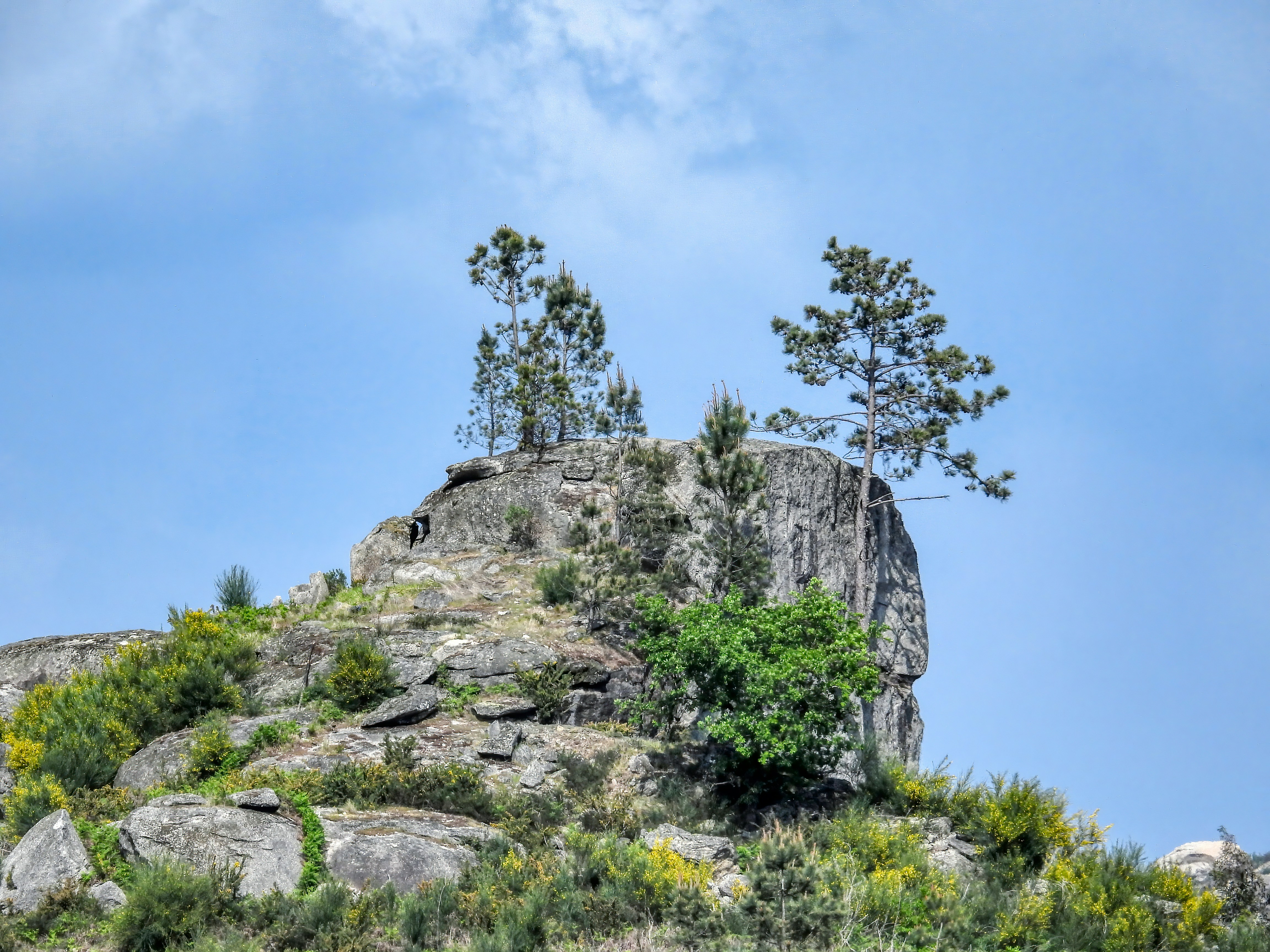 Photo by fandisalceda