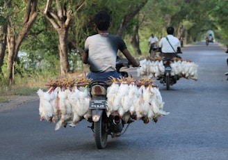 man in white t-shirt riding motorcycle with white flowers